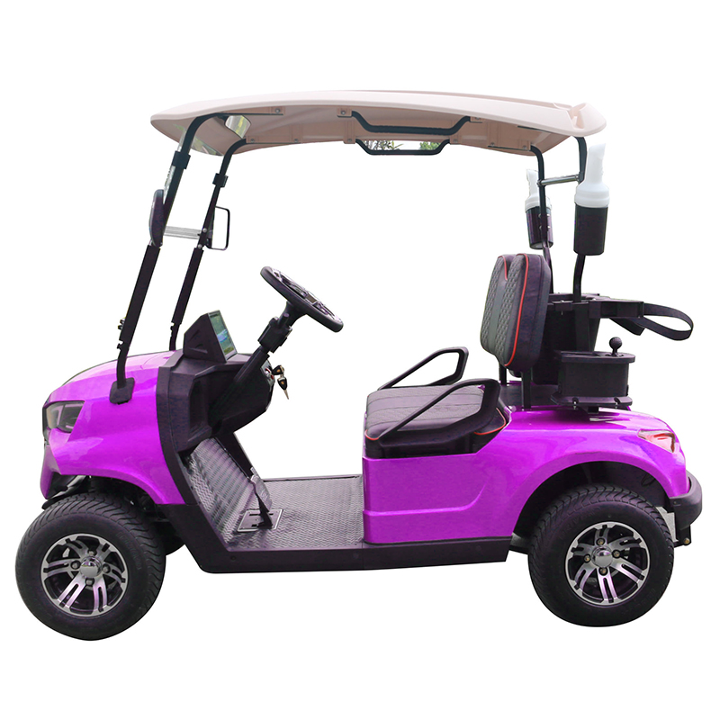 Style B 2 seats golf cart purple 