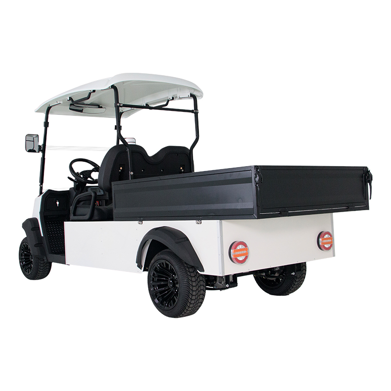 Style A 2 seats Cargo hopper golf cart 