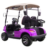 Style B 2 seats golf cart purple 