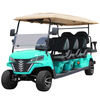 Style B 6+2 seats golf cart cyan 