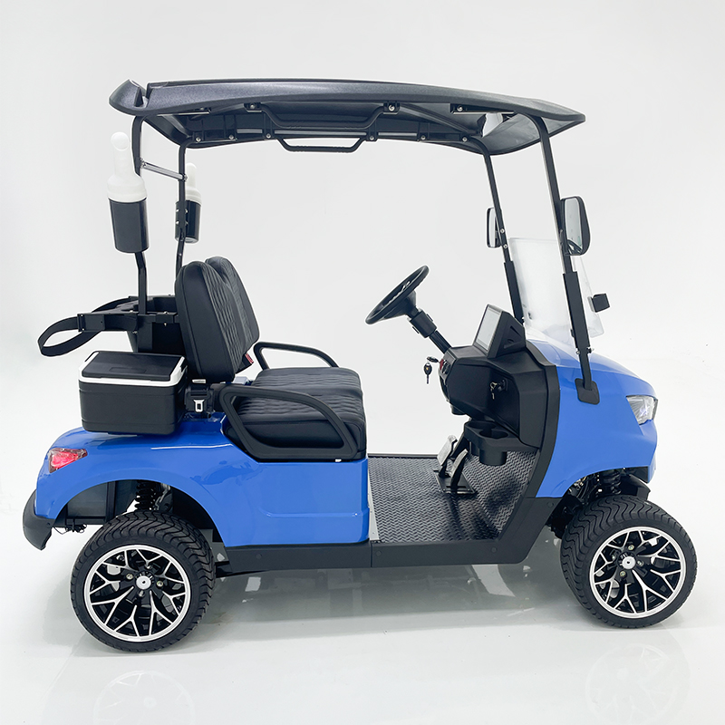 Style B 2 seats golf cart blue 