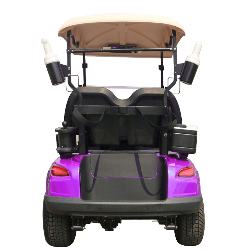 Style B 2 seats golf cart purple 