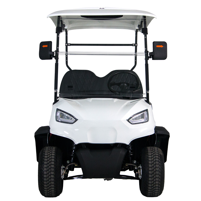 Style A 2 seats Cargo hopper golf cart 