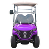 Style B 2 seats golf cart purple 