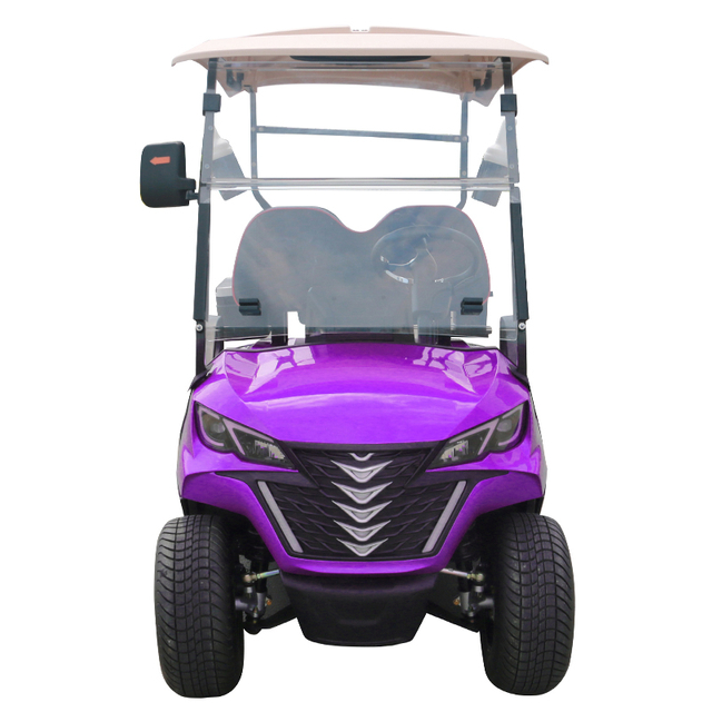 Style B 2 seats golf cart purple 