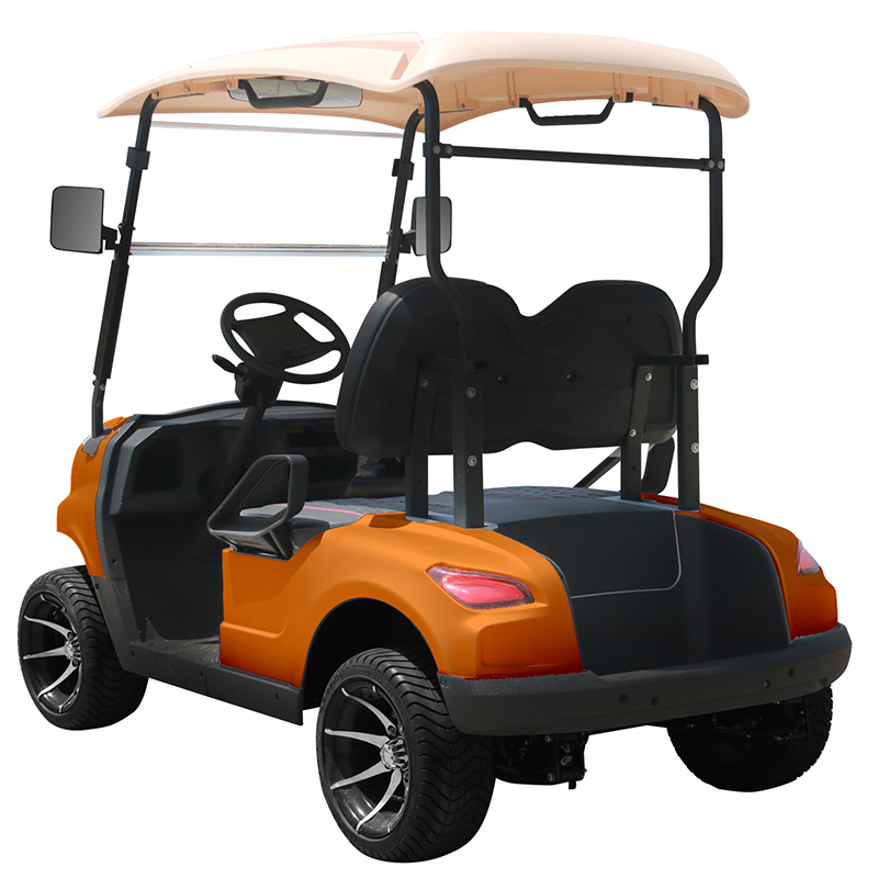 Style B 2 seats golf cart golden 