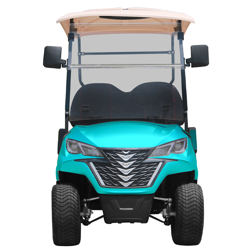 Style B 2 seats golf cart cyan 