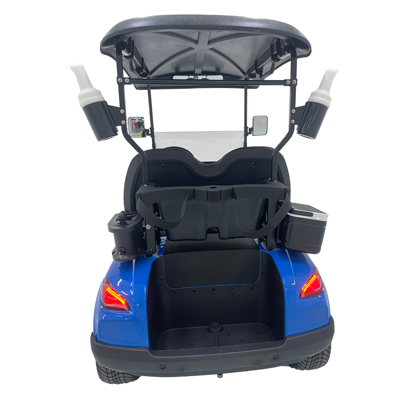 Style B 2 seats golf cart blue 