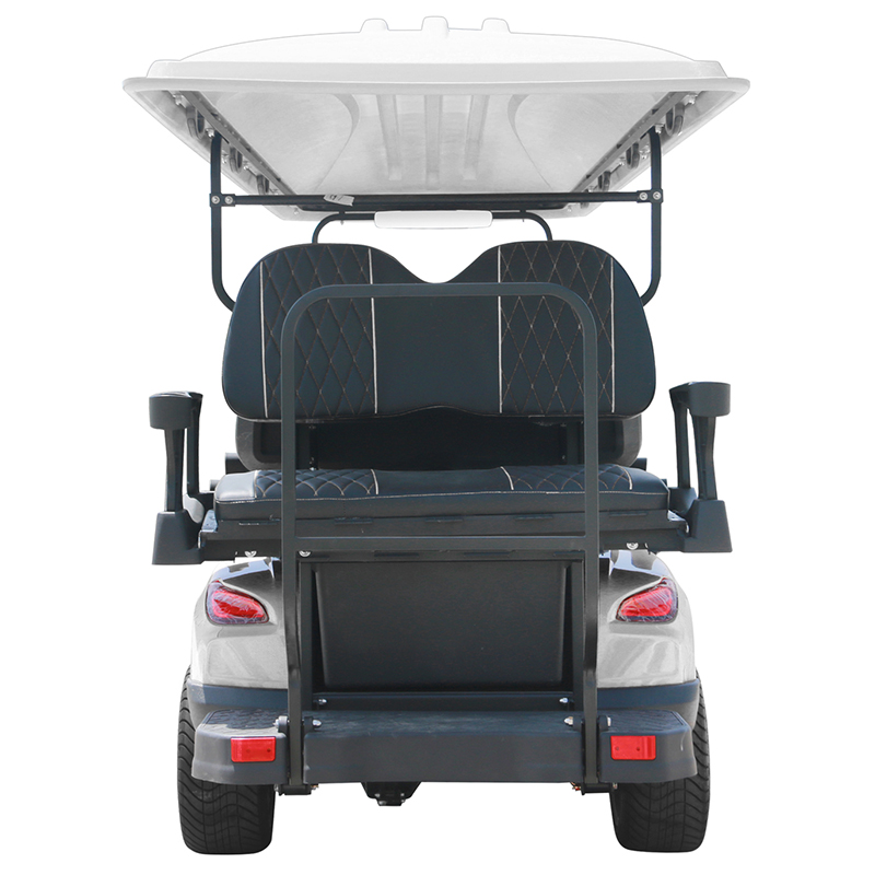 Style B 6+2 seats golf cart white 