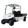 Style A 2 seats Cargo hopper golf cart 