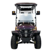 Style B 2+2 seats golf cart Purple and gold gradient 