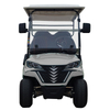 Style B 4 seats golf cart grey 