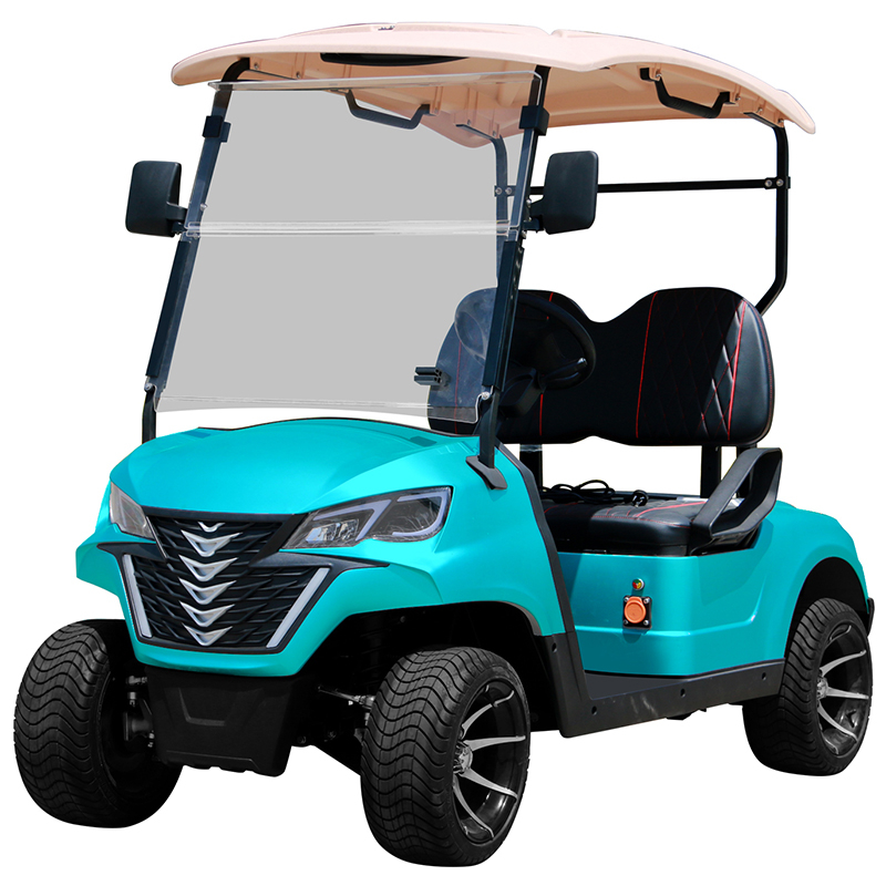 Style B 2 seats golf cart cyan 