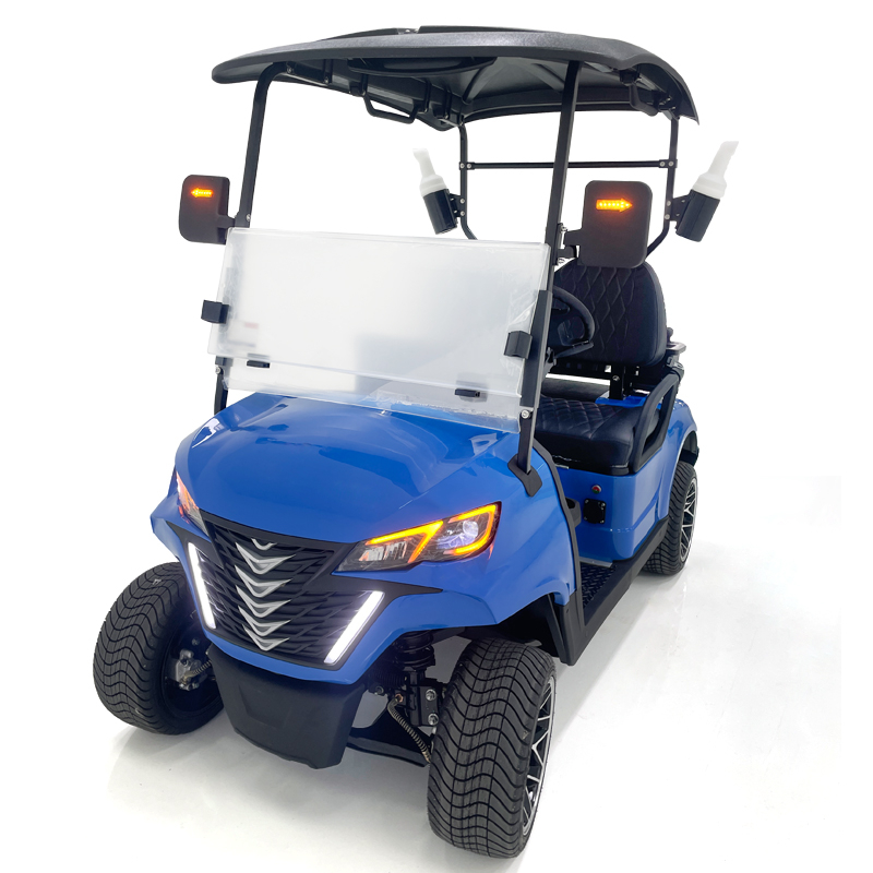 Style B 2 seats golf cart blue 