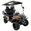 Style B 2+2 seats golf cart Purple and gold gradient 