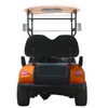 Style B 2 seats golf cart golden 