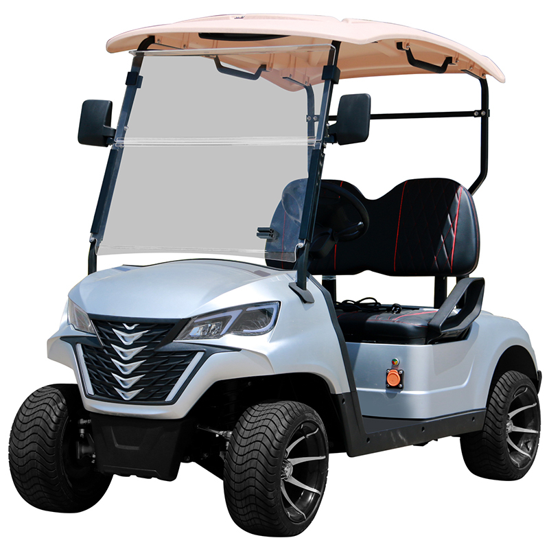 Style B 2 seats golf cart white 