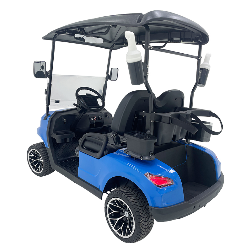 Style B 2 seats golf cart blue 