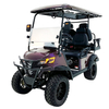 Style B 2+2 seats golf cart Purple and gold gradient 