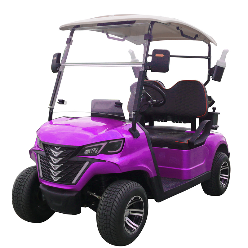 Style B 2 seats golf cart purple 