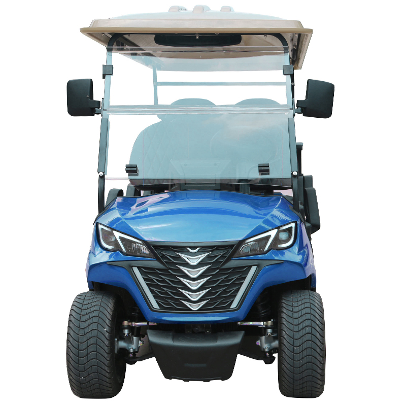 Style B 6 seats golf cart blue 