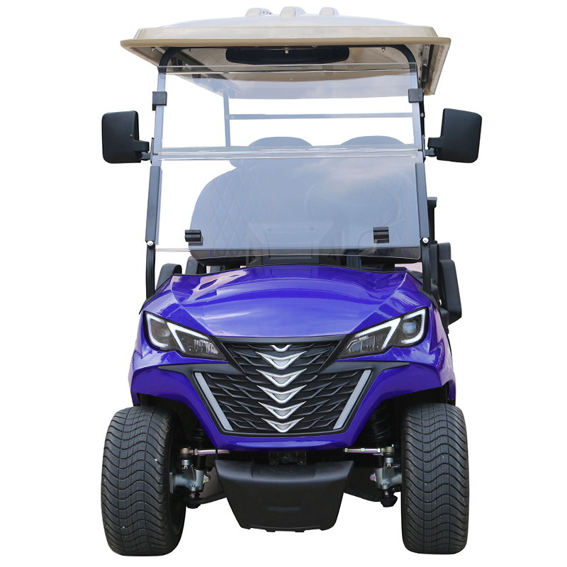 Style B 6 seats golf cart purple 