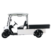 Style A 2 seats Cargo hopper golf cart 