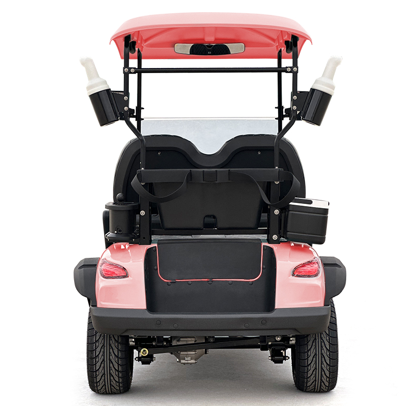 Style C 2 seats golf cart pink