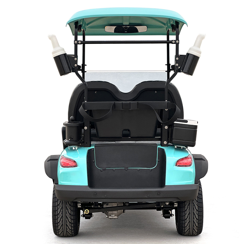 Style C 2 seats golf cart mint green