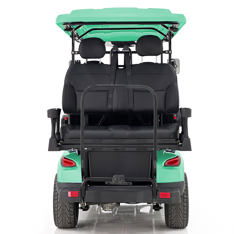 Aerfa 4+2 Seats Golf Cart Mint Green