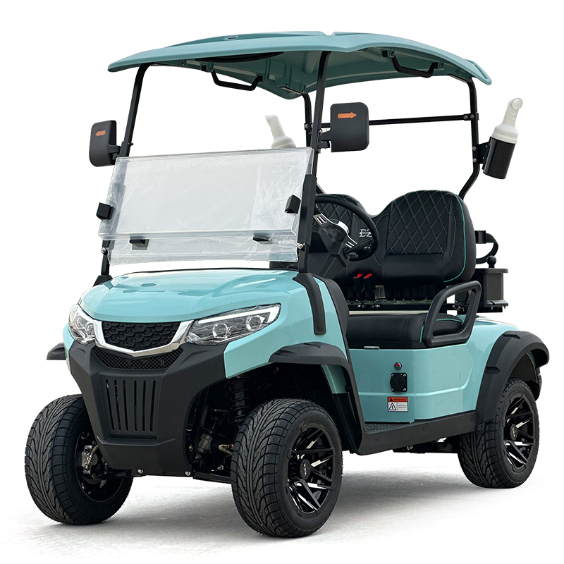 Style C 2 seats golf cart baby blue