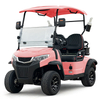 Style C 2 seats golf cart pink