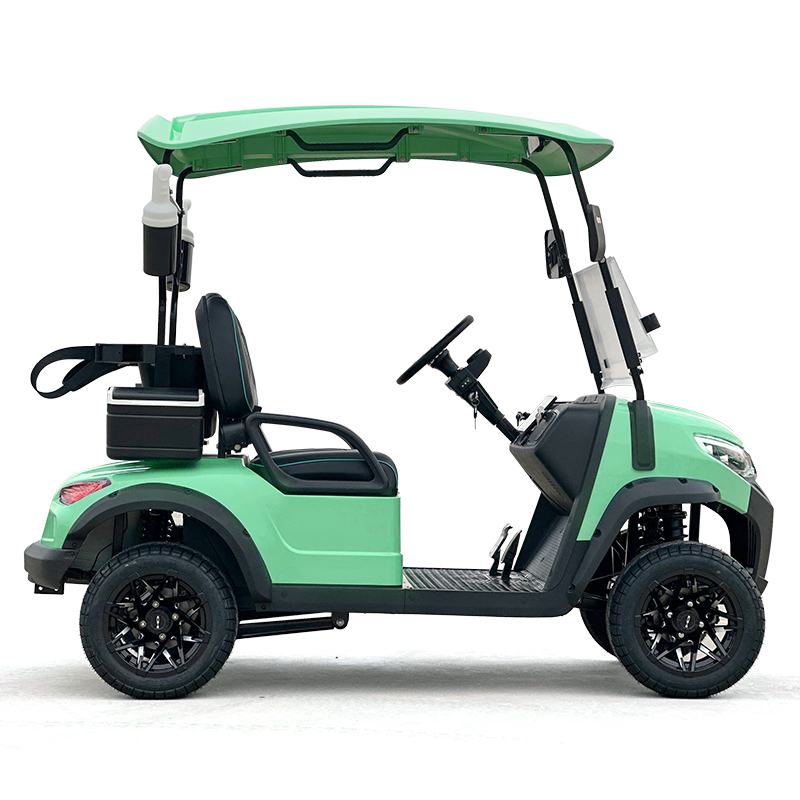 Style C 2 seats golf cart green