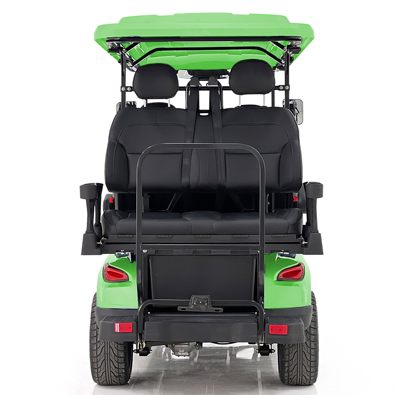 Aerfa 4+2 Seats Golf Cart Grass Green