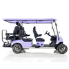 Aerfa 4+2 seats golf cart taro purple