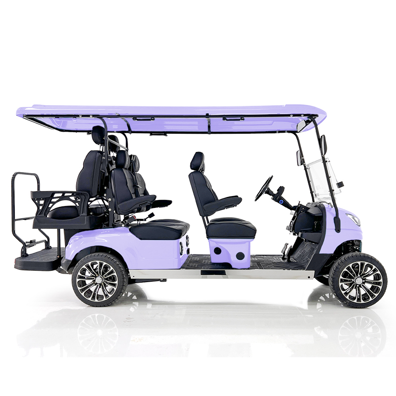Aerfa 4+2 seats golf cart taro purple