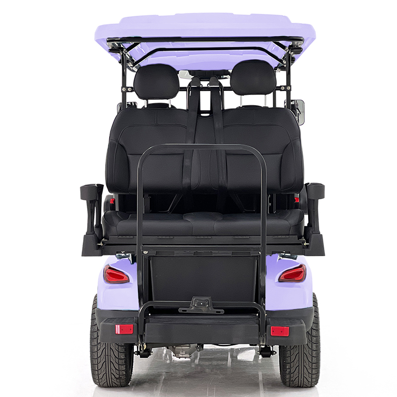 Aerfa 4+2 seats golf cart taro purple