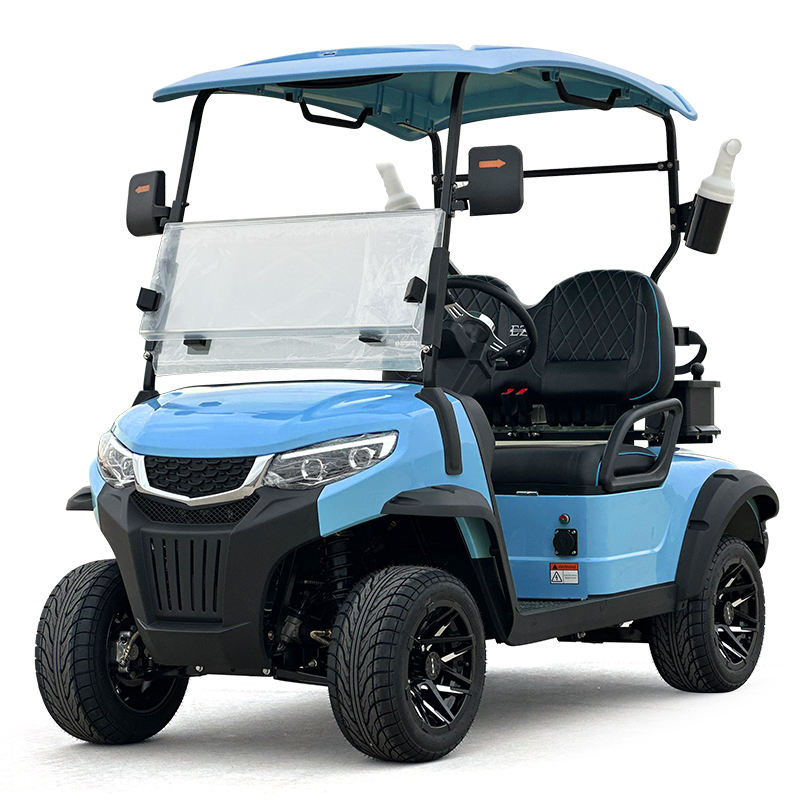 Style C 2 seats golf cart sky blue