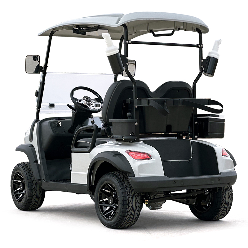 Style C 2 seats golf cart milk white