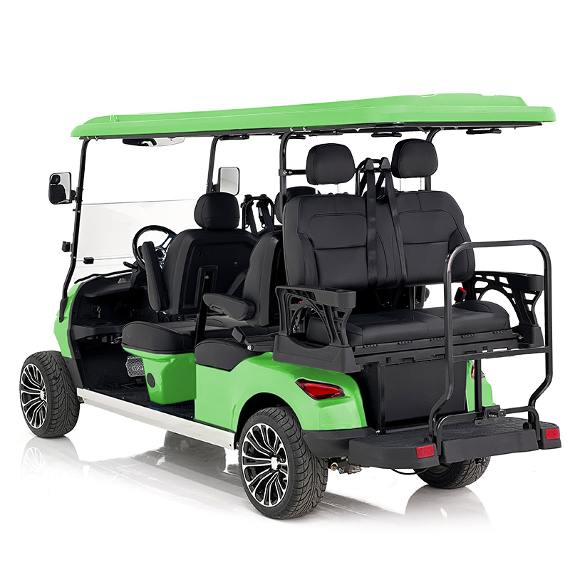 Aerfa 4+2 Seats Golf Cart Grass Green