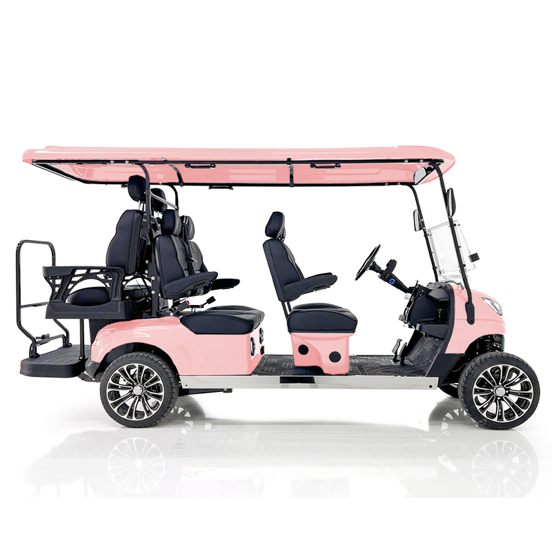Aerfa Pink 4+2 Golf Cart for Courses