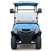 Style C 2 seats golf cart sky blue