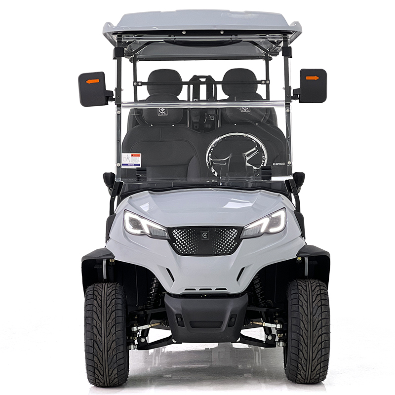 Aerfa 4+2 seats golf cart smoky gray 