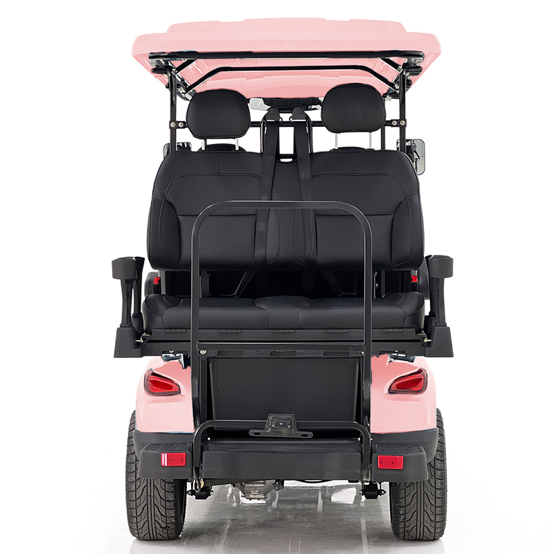 Aerfa Pink 4+2 Golf Cart for Courses
