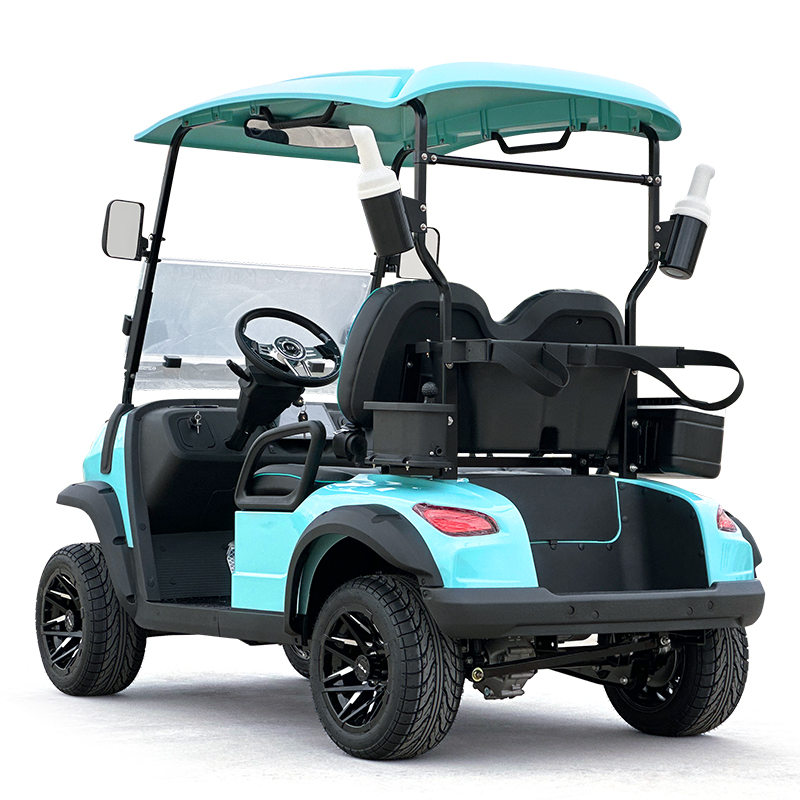 Style C 2 seats golf cart mint green