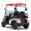 Style C 2 seats golf cart pink