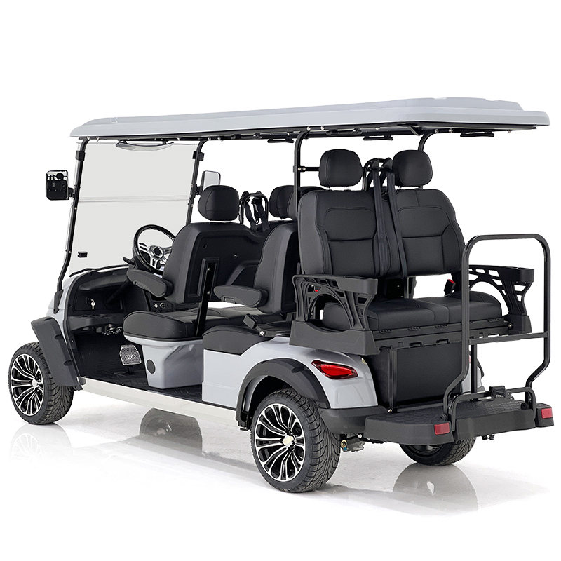 Aerfa 4+2 Seats Golf Cart Smoky Gray 