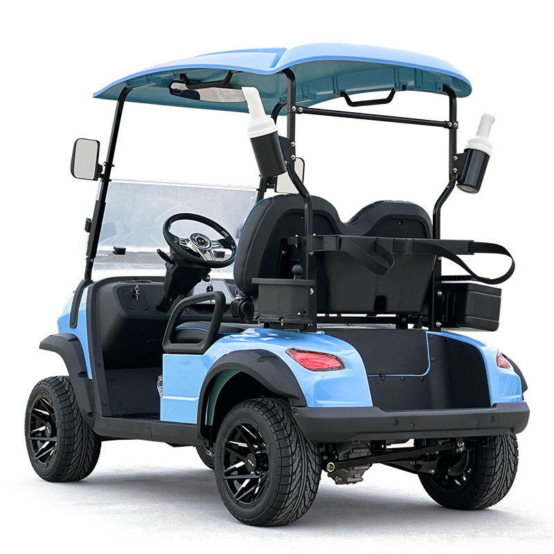 Style C 2 seats golf cart sky blue