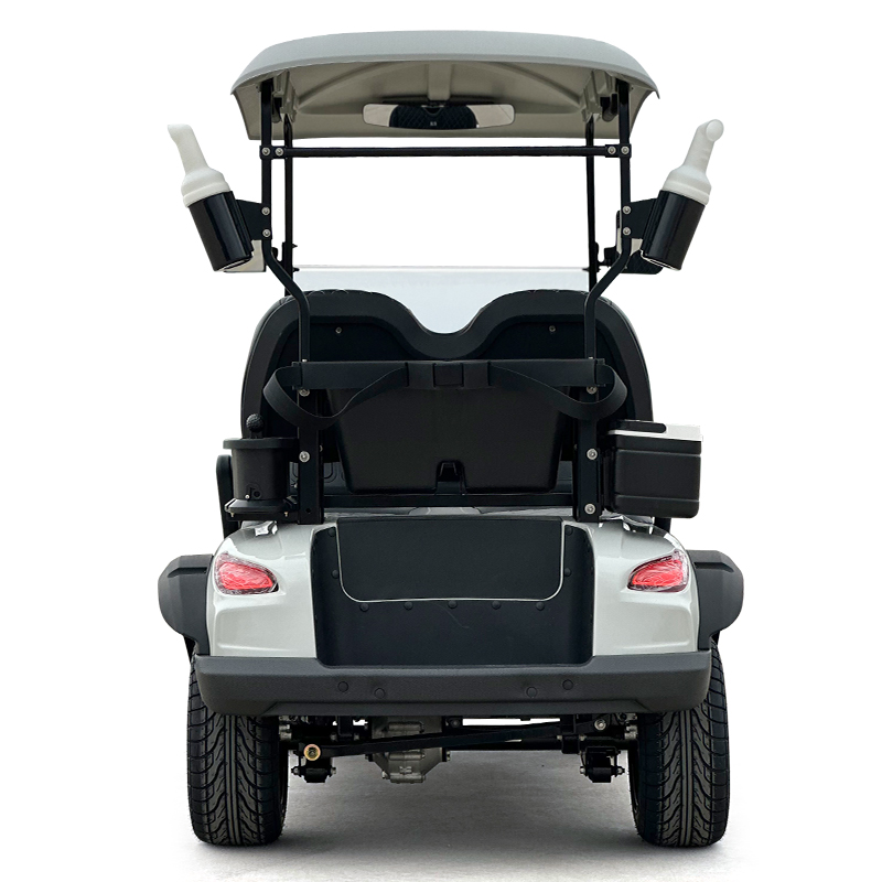 Style C 2 seats golf cart milk white