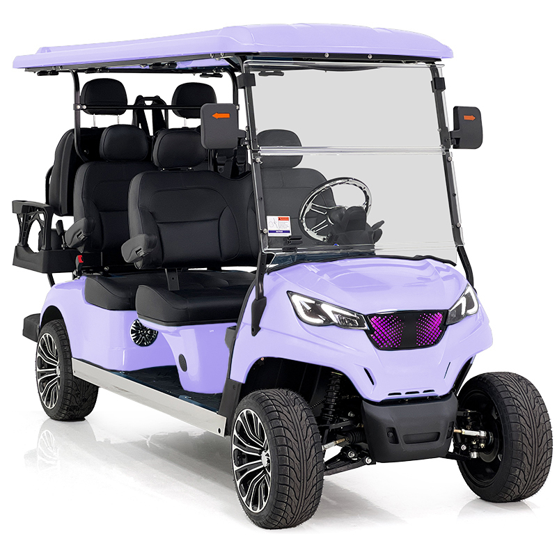 Aerfa 4+2 seats golf cart taro purple